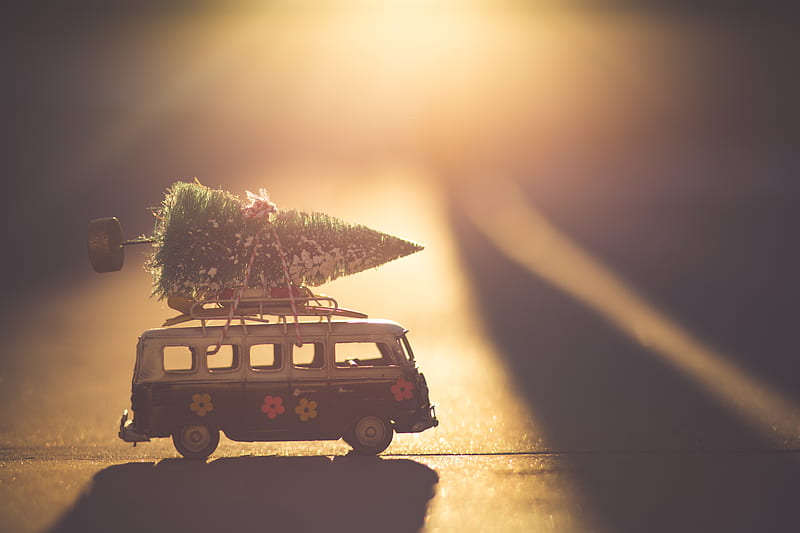 white and black bus with green pine tree scale model, HD wallpaper