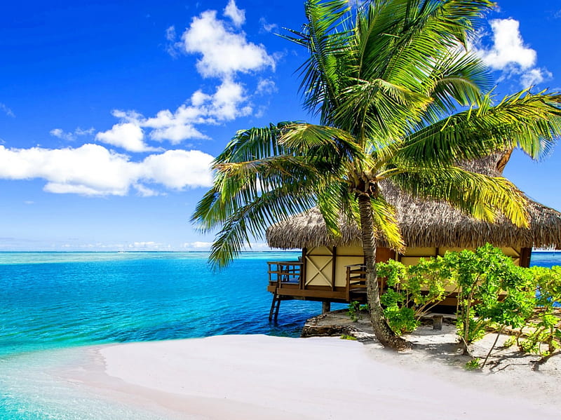 Tropical Paradise, isle, hut, shore, sun, bungalow, clouds, sea, beach ...