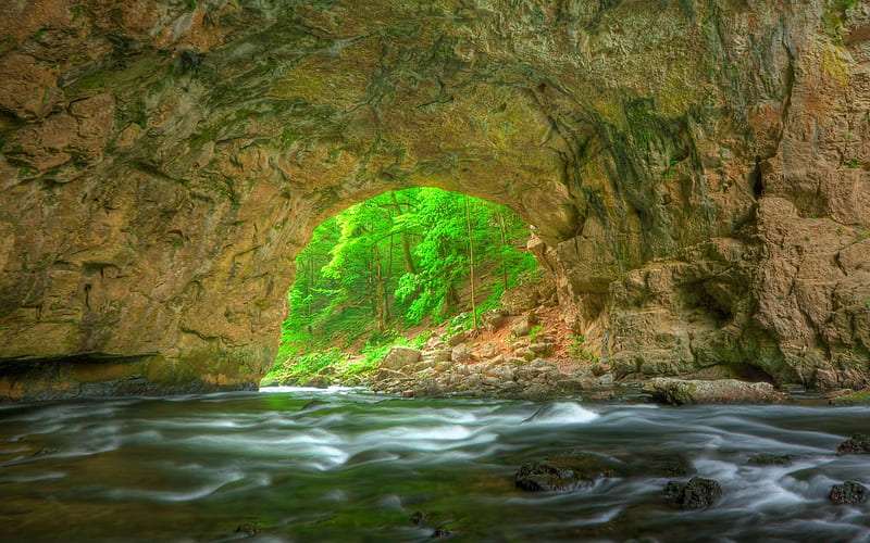 Cave in the Forest, Forests, Caves, Rivers, Nature, HD wallpaper
