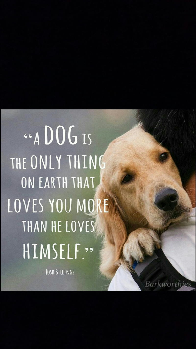 Doggy love, dogs, pets, quotes, HD phone wallpaper