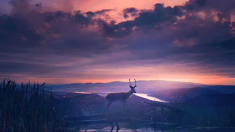Twilight Deer , deer, artist, artwork, digital-art, HD wallpaper