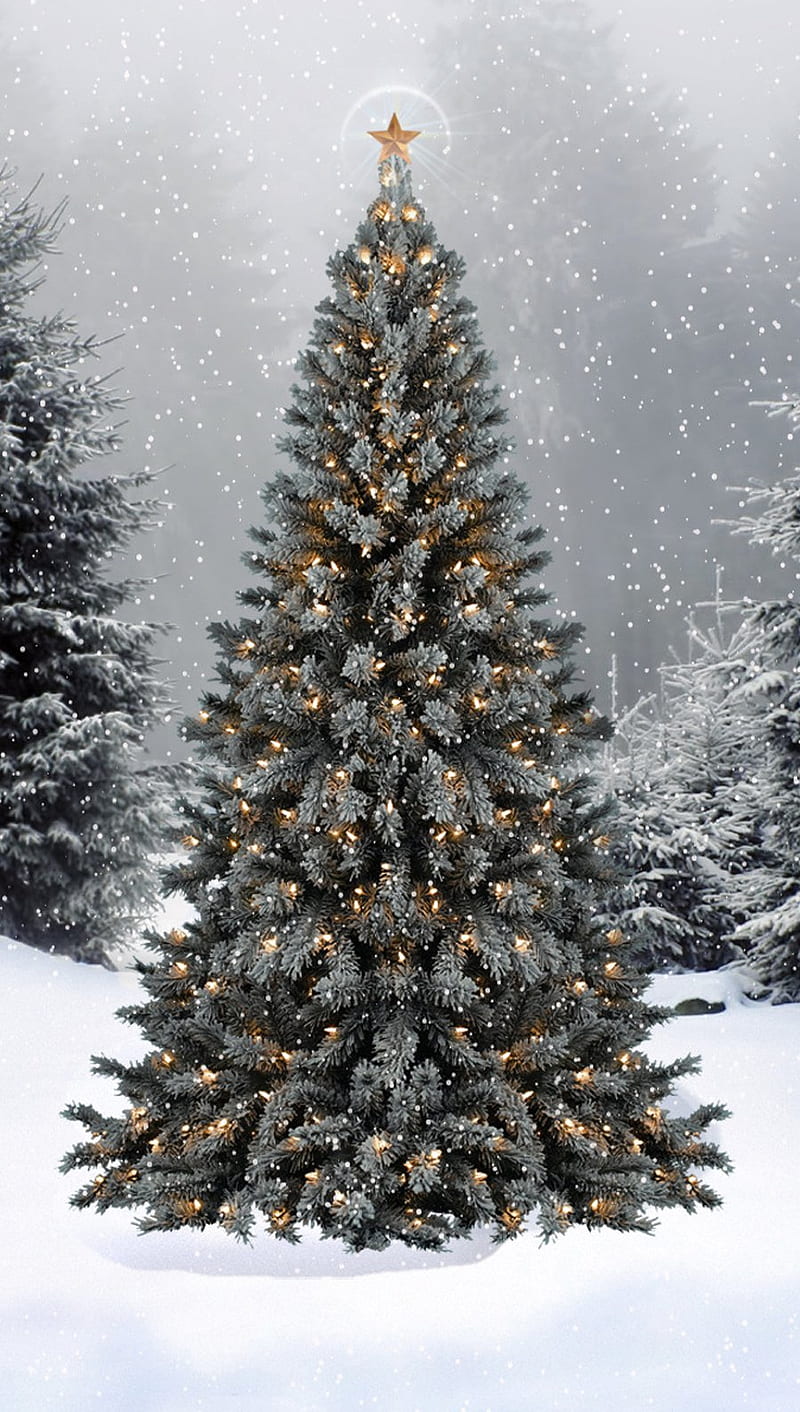 Christmas Tree, holiday, lights, snow, HD phone wallpaper