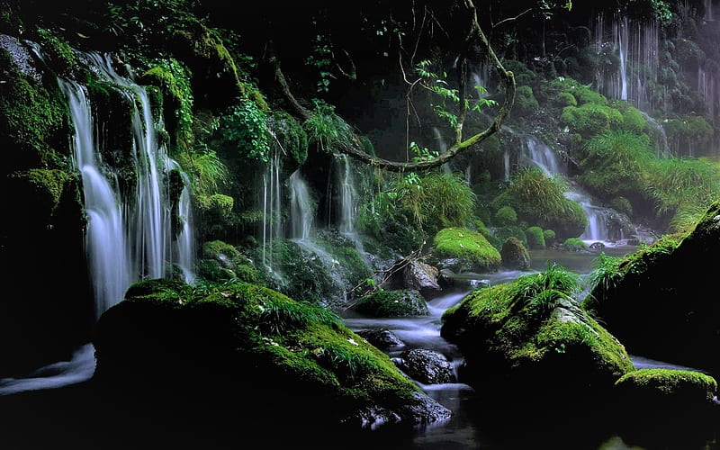 Mossy Forest Waterfalls, Waterfalls, Forests, Moss, Rocks, Nature, HD wallpaper