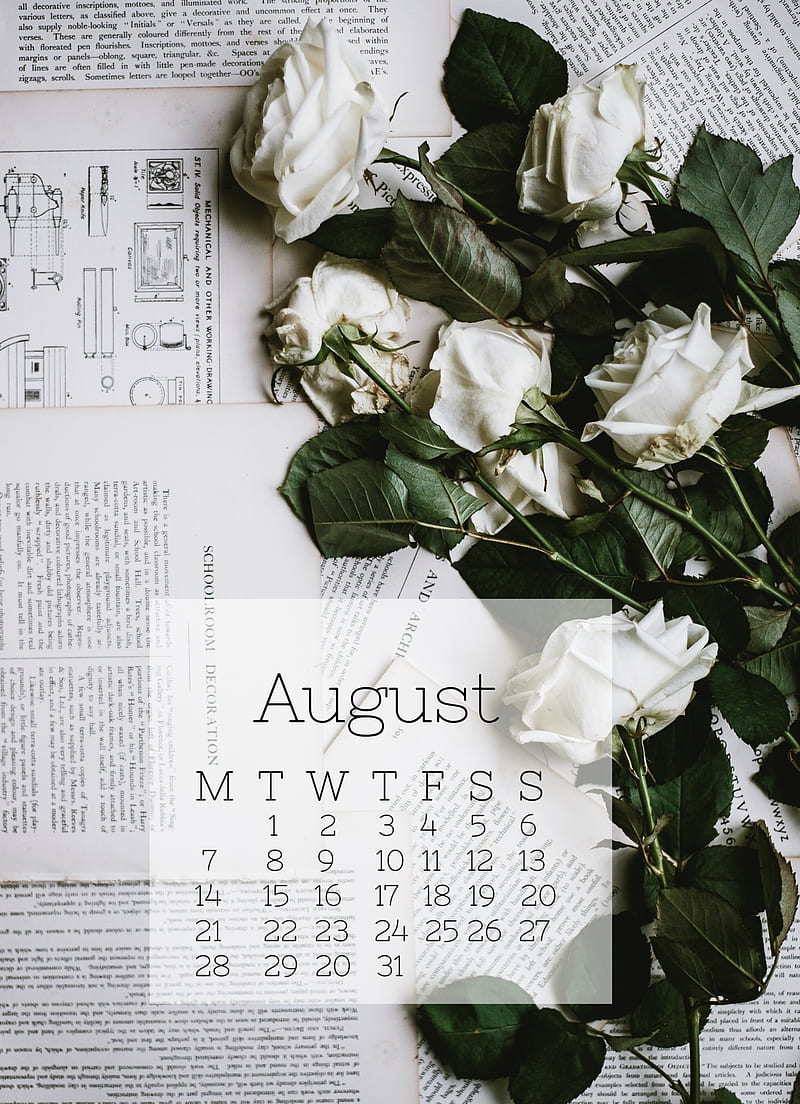 White Roses, calendar, august, cal, aug, HD phone wallpaper