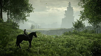 shadow of the colossus wallpaper by skill_sk - Download on ZEDGE™