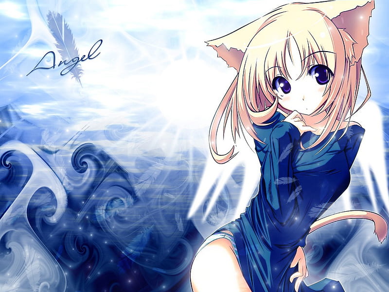 cute cat girl, blond, dress, tail, angel, ears, smile, cute, girl, anime, cat girl, blue, HD wallpaper