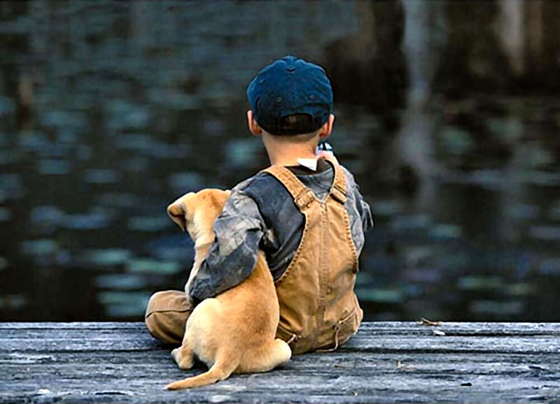 A Boy's Best Friend - Dog, little boy, graphy, wide screen, bonito, dogs, canine, HD wallpaper