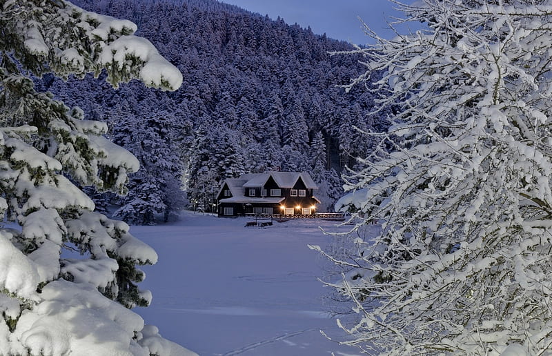 Forest Lodge, trees, lodge, forest, snow, shine, Winter, HD wallpaper