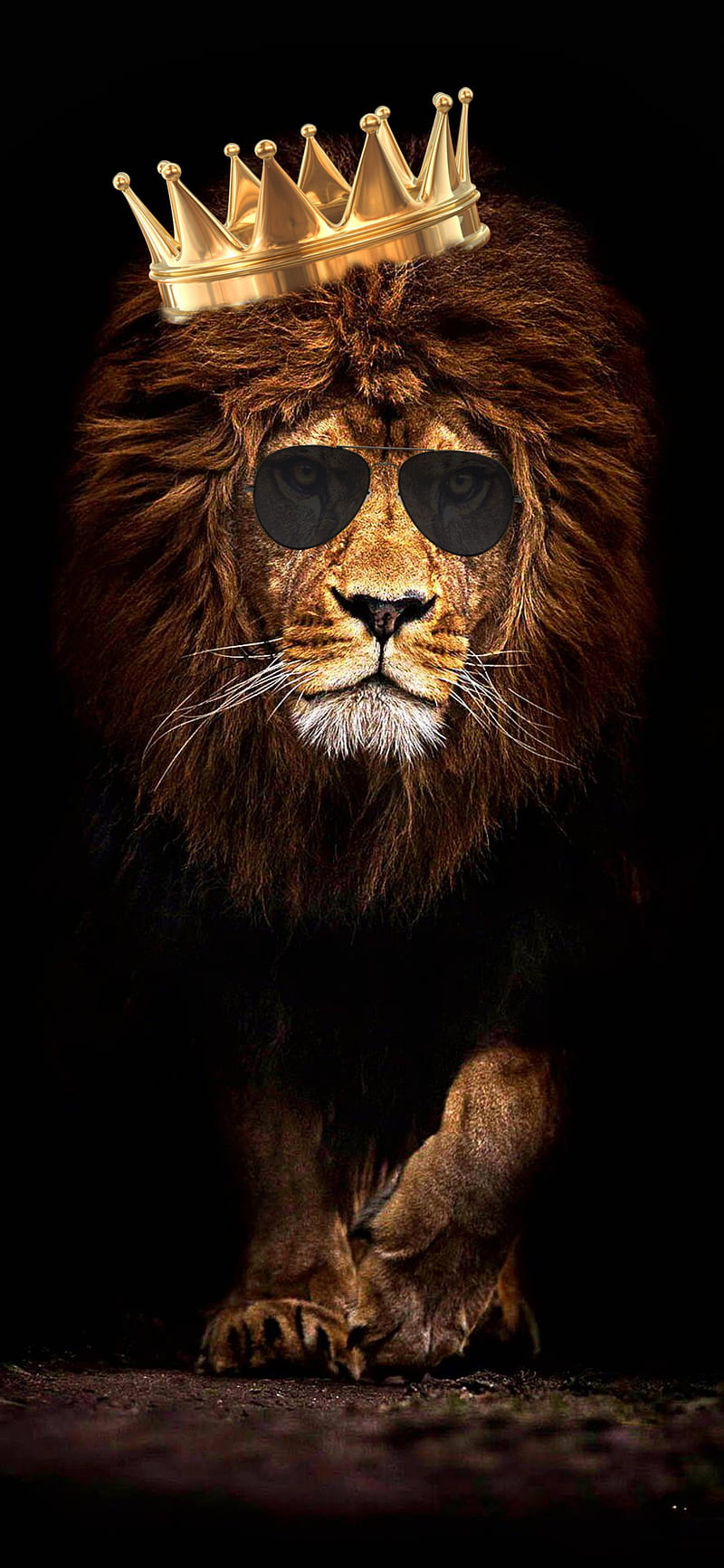 Lion king, crown, fearless jungle, lions, royal, HD phone wallpaper