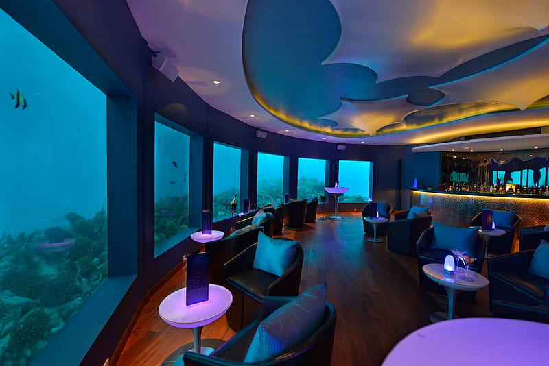 Subsix Underwater Nightclub in Niyama Maldives, reef, dive, fish, snorkel, sea, atoll, dining, luxury, blue, scuba, hotel, underwater, holiday, Maldives, ocean, coral, paradise, island, tropical, nightclub, HD wallpaper