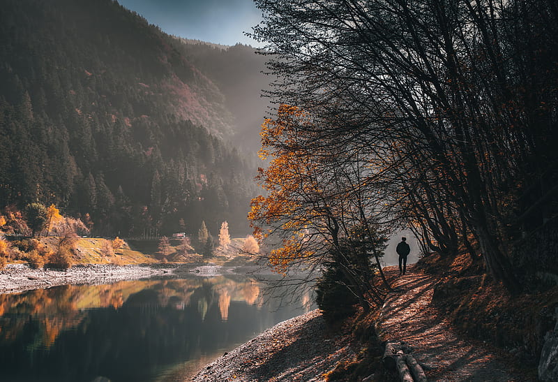 man, alone, trees, river, autumn, HD wallpaper