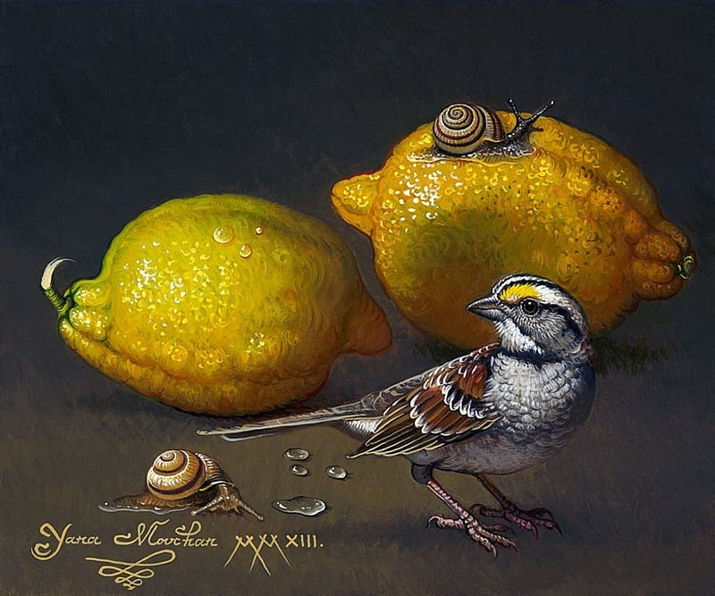 :), pasari, yellow, sparrow, lemon, art, snail, fruit, yana movchan, bird, painting, pictura, HD wallpaper