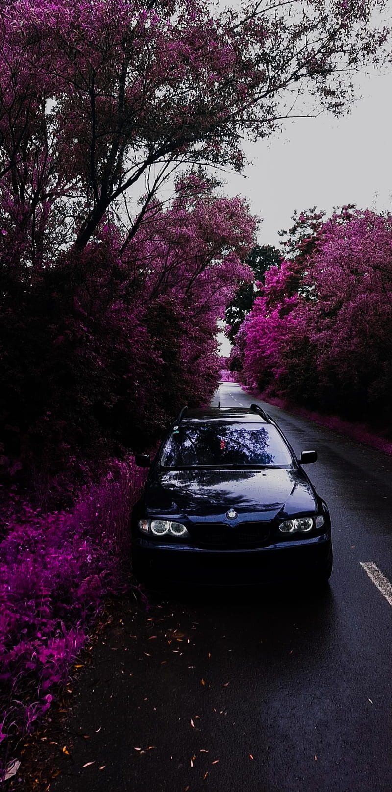 Bmw E46 Purple love, carros, sport, HD phone wallpaper