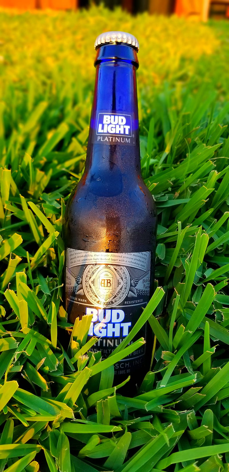 Bud Light, alchohol, beer, beverage, blue, bottle, grass, green, platinum,  HD phone wallpaper | Peakpx