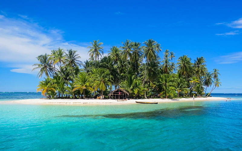 small tropical island, palms, ocean, summer, beach, travel, HD wallpaper