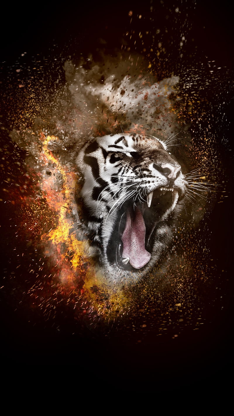 Tiger Roar , fire, hop, grin, animal, wild, HD phone wallpaper