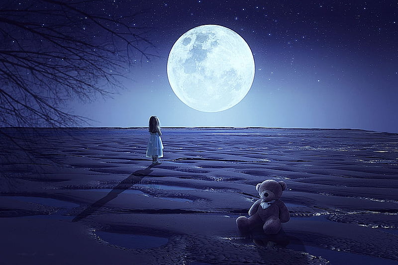 Big Moon, art, teddybear, girl, night, digital, HD wallpaper