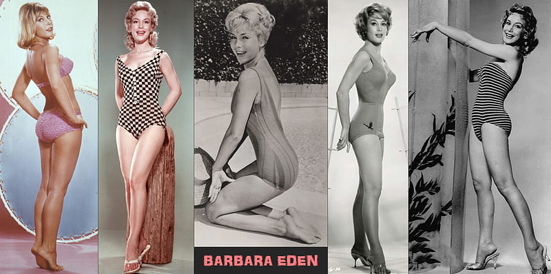 Actress Barbara Eden, I Dream of Genie, Genie, 60s Actresses, HD wallpaper