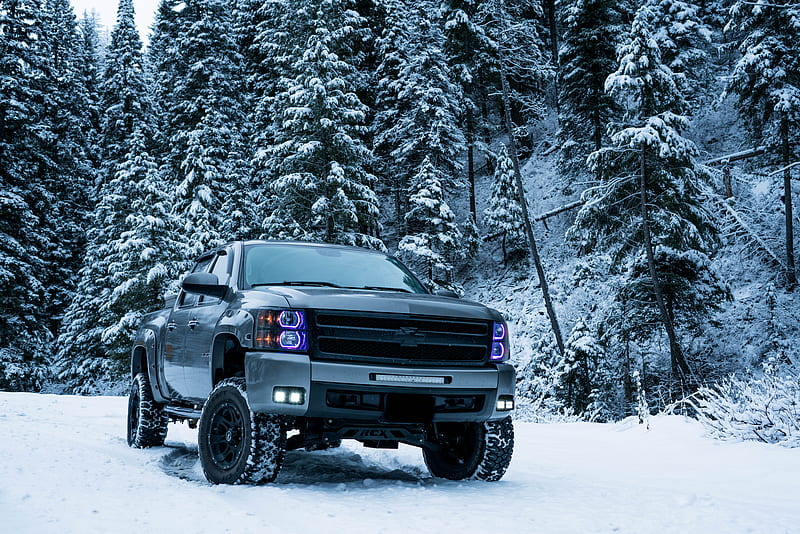 gray pickup truck on snow field surrounded by trees, HD wallpaper