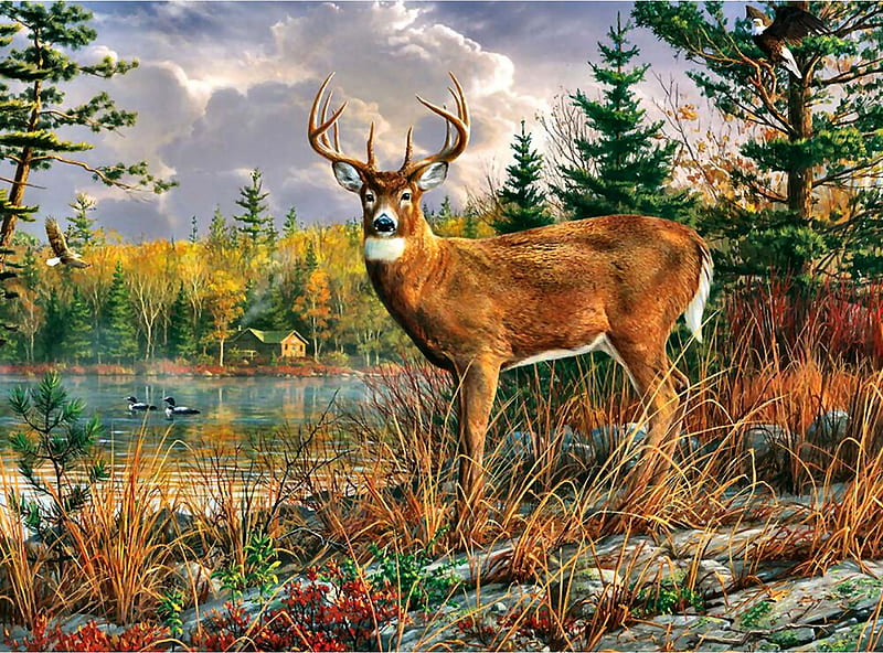 Tranquil Moment - Deer F1C, art, buck, ducks, bonito, illustration, lake, artwork, deer, animal, doe, water, painting, wide screen, wildlife, nature, HD wallpaper