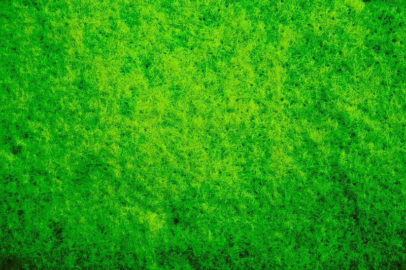 moss, macro, texture, green, HD wallpaper