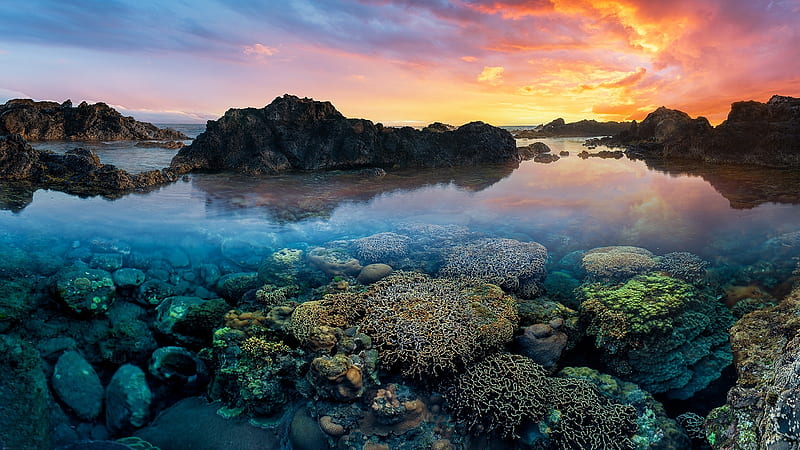 Reunion Island, Indian Ocean, sunset, coast, sea, colors, clouds, sky, rocks, HD wallpaper