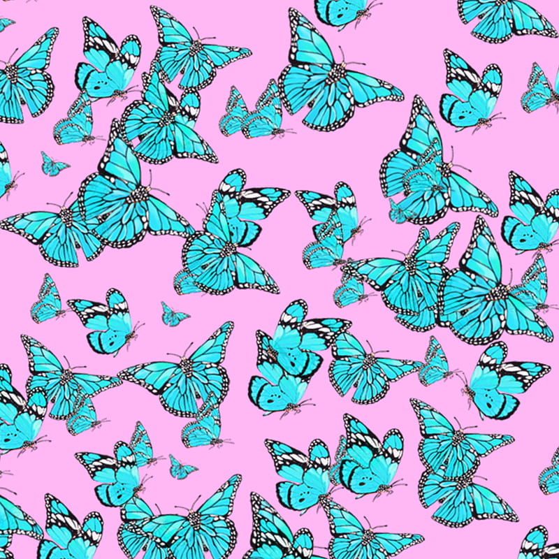 Butterflies, cute, summer, HD mobile wallpaper | Peakpx