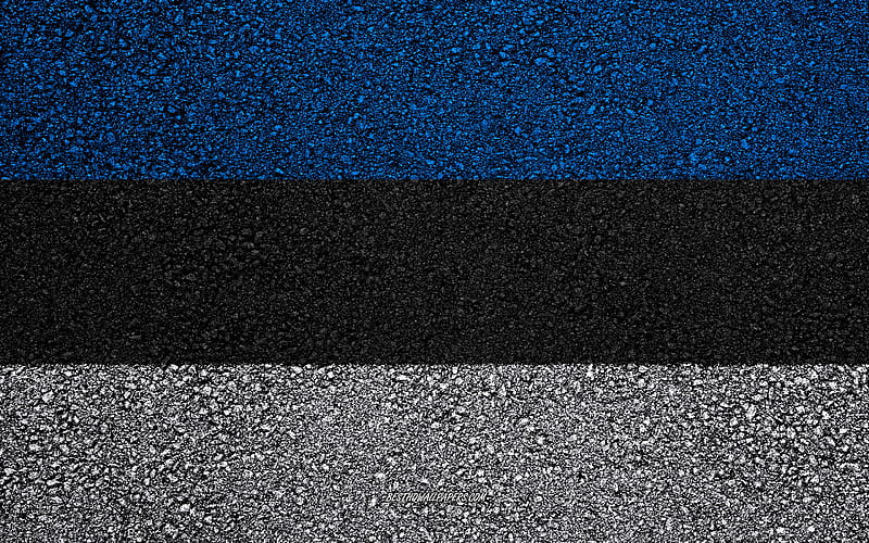 Flag of Estonia, asphalt texture, flag on asphalt, Estonia flag, Europe, Estonia, flags of european countries, HD wallpaper