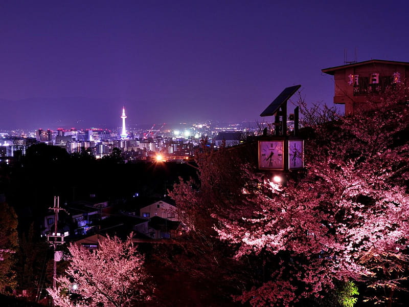 Tokyo Night, sakura, japan, city, japanese, tokyo, scenery, cherry blossom, night, HD wallpaper