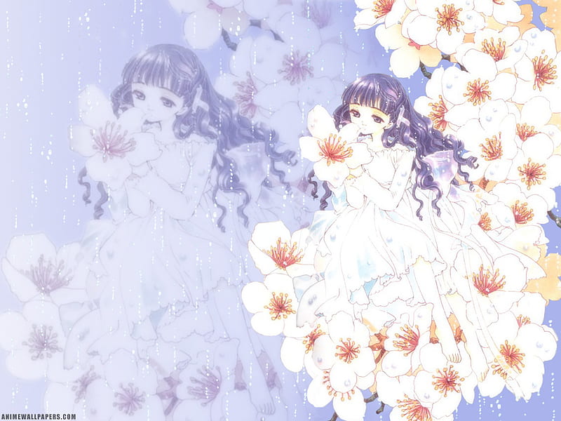 Untitled , card captor sakura, anime, flowers, rain, clamp, HD wallpaper