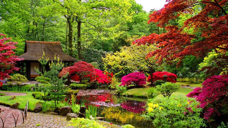 Japanese Garden, forest, hut, house, grass, japanese, woods, park, trees, lake, summer, garden, nature, HD wallpaper