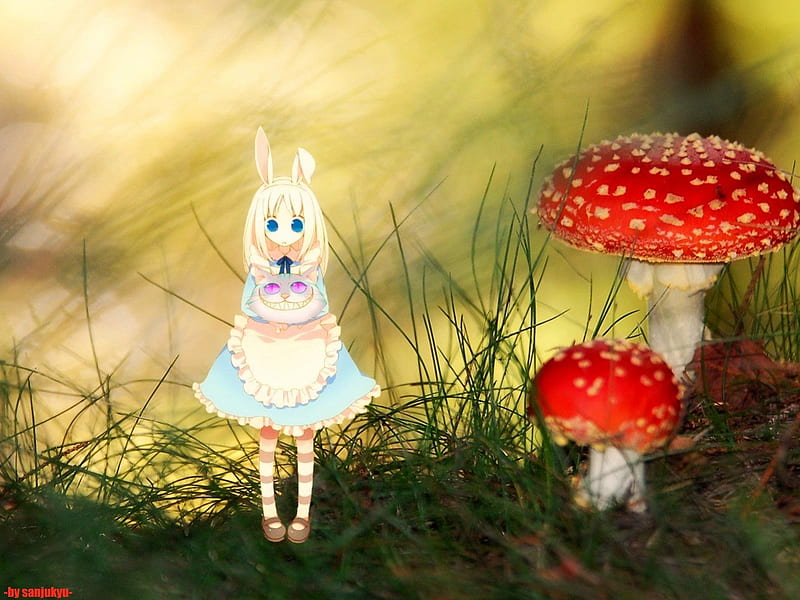 Oh Dear!!, alice in wonderland, fantasy, grass, anime, mushrooms, bunny ears, cheshire cat, HD wallpaper