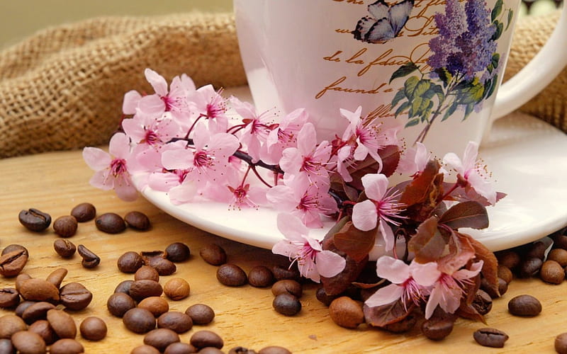 Good morning!, pretty, good morning, lovely, beans, scent, bonito, spring, branch, tea, freshness, still life, coffee, blossoms, cup, HD wallpaper