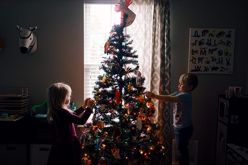 girl and boy standing near Christmas tree, HD wallpaper