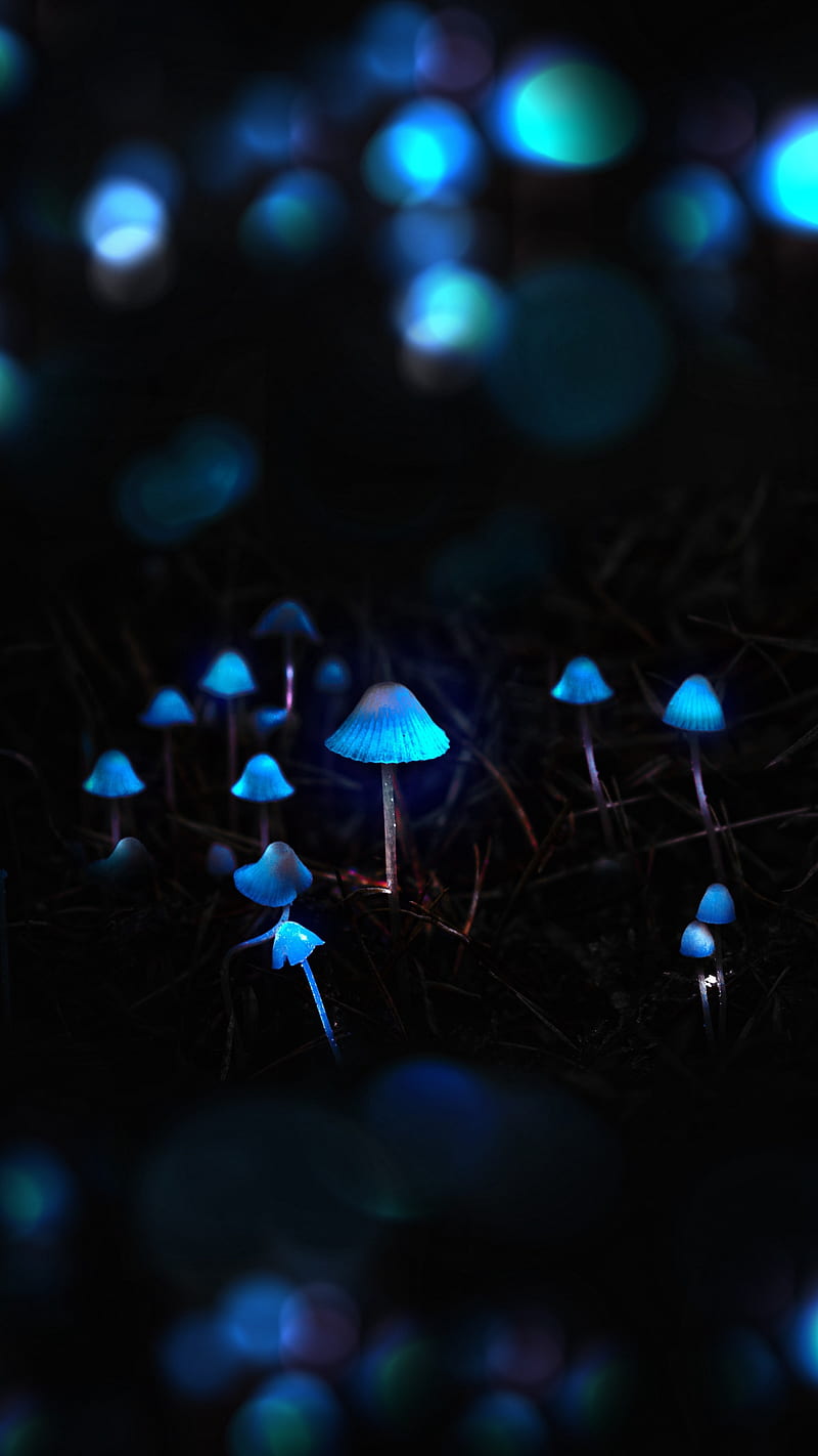 Illustration of a glowing psychedelic mushroom on dark background.  Generative AI - indivstock