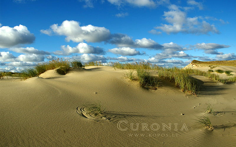 Shifting dunes in Curonia, world, lithuanian, kurische, national, curonia, bonito, magic, neringa, valley, spit, sand, dunes, cultural, heritage, fabulously, list, nehrung, legend, beauty, harmony, unesco, kopos, strict, curonian, unique, park, sahara, reserve, nature, landscape, HD wallpaper
