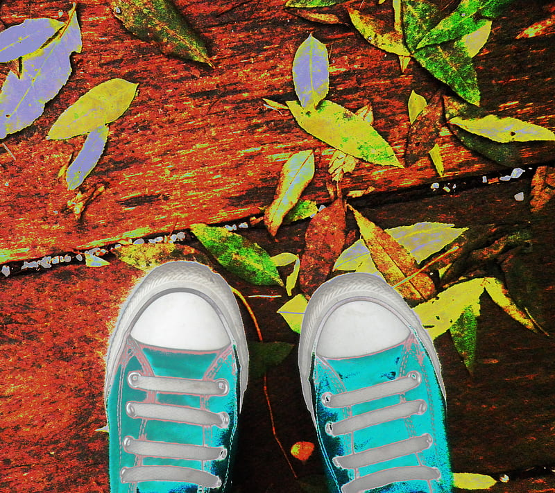 In my shoes, all star, feet, green, leaves, nature, esports, wood, HD wallpaper