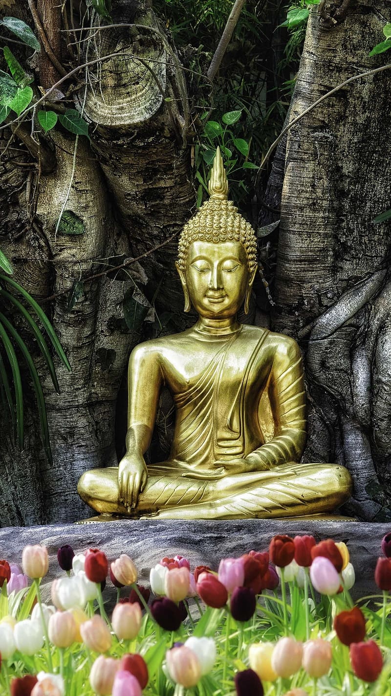 Buddha, In The Flower Garden, lord buddha, god, golden statue, meditation,  HD phone wallpaper | Peakpx