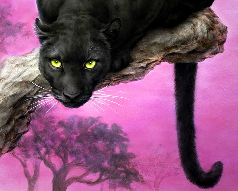 Black panther, art, luminos, tail, black, kayomi harai, animal, panthere, pink, pisica, HD wallpaper