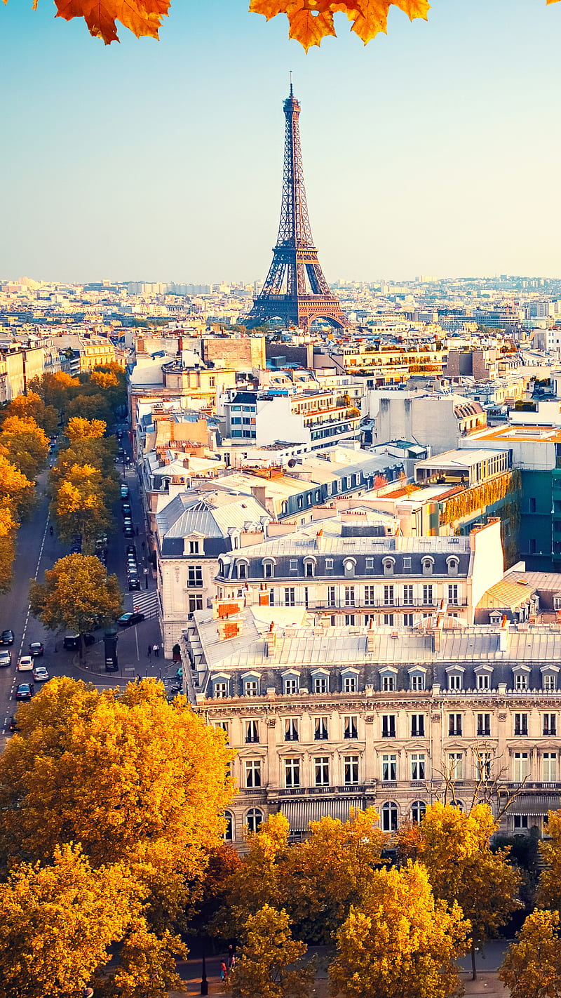 Paris , eiffel tower, fall, city, cityscape, street, building, tree, HD phone wallpaper