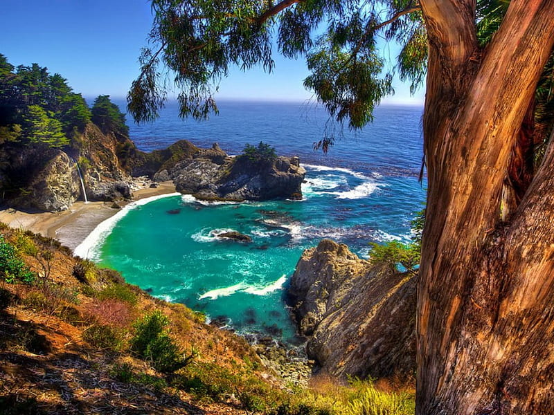 McWay falls, fall, rocks, pretty, shore, falling, bonito, sea, nice, stones, waterfall, blue, lovely, view, emerald, waves, sky, trees, Mcway, tree, slope, summer, nature, bay, branches, HD wallpaper