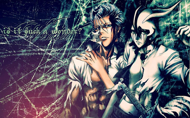 Anime, Bleach, Ulquiorra Cifer, Grimmjow Jaegerjaquez, HD wallpaper