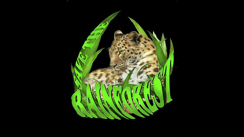 Rain Forest, forest, leopard, big cat, Firefox theme, HD wallpaper