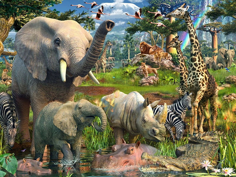 Jungle animals, elephant, crocodile, hippo, rhino, giraffe, zebra, lion, HD  wallpaper | Peakpx