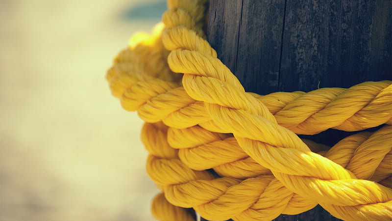 yellow rope on brown wooden fence, macro, ropes, depth of field, knot, yellow, beige, wood, HD wallpaper