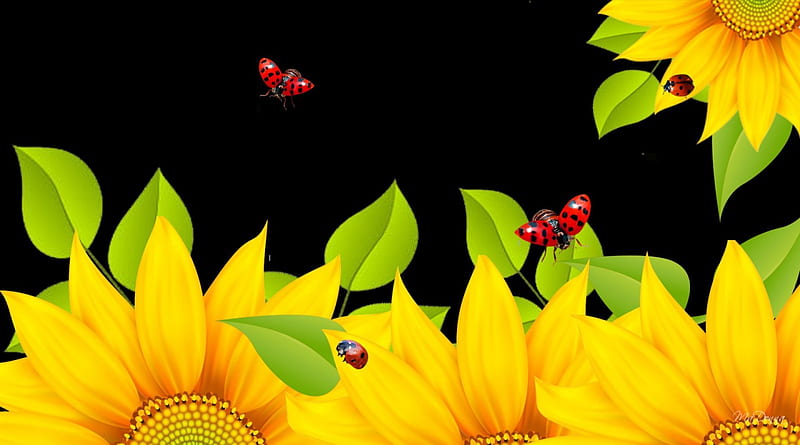 Sunny Flowers, artistic, fall, autumn, dramatic, black, yellow, sunflowers, theatrical, bright, summer, blossoms, flowers, lady bug, drama, blooms, ladybugs, HD wallpaper