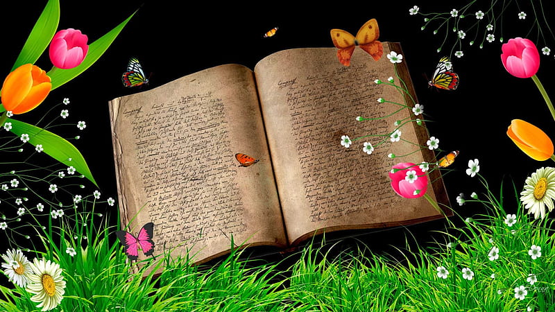 To Read a Book, antique, grass, flowers, firefox persona, spring, butterflies, tulips, vintage, HD wallpaper