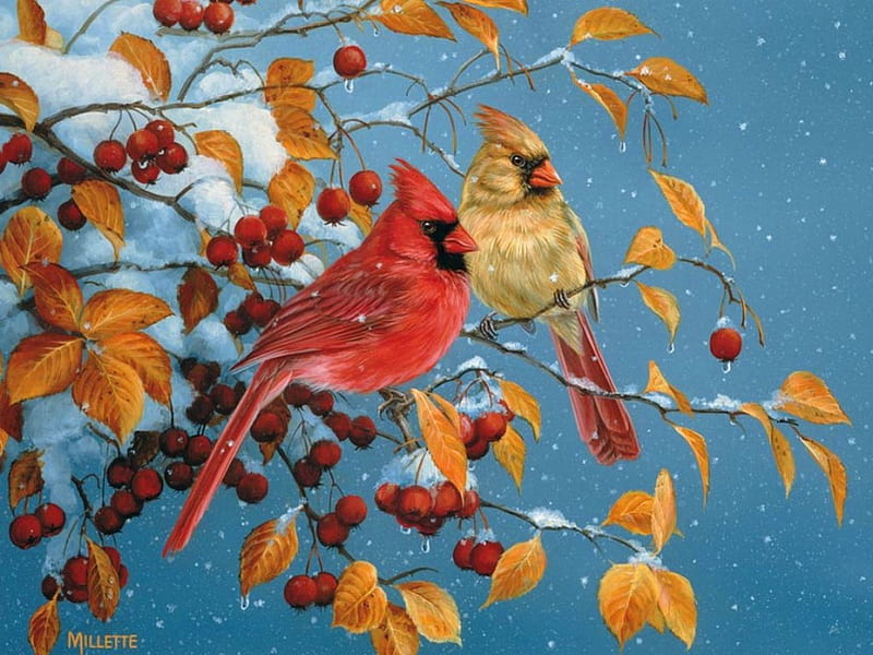 Cardinals in winter, art, autumn, birds, bonito, winter, cute, cardinals, snow, painting, nature, branches, HD wallpaper