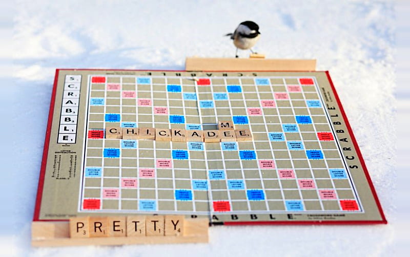 Your Turn!, board, bird, chickadee, game, scrabble, winter, HD wallpaper