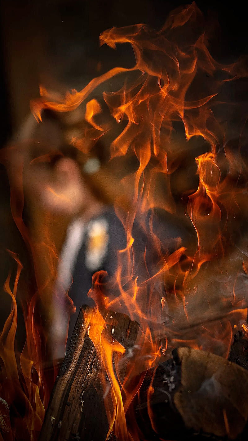 Fire, burn, burning woods, flame, hot, nature, woods, HD phone wallpaper